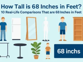 10 Real-Life Comparisons That are 68 Inches in Feet