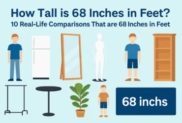10 Real-Life Comparisons That are 68 Inches in Feet