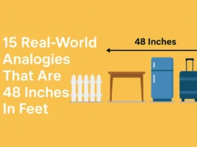 How Tall is 48 Inches in Feet - 15 Real-World Analogies That Are 48 Inches In Feet