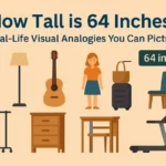 How Tall is 64 Inches - 6 Real Life Analogies that are 64 inches tall