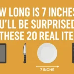 Infographic with bold title “How Long Is 7 Inches? You’ll Be Surprised by These 20 Real Items” featuring illustrations of a tablet, chef’s knife, dinner plate, and TV remote with a 7-inch measurement arrow.